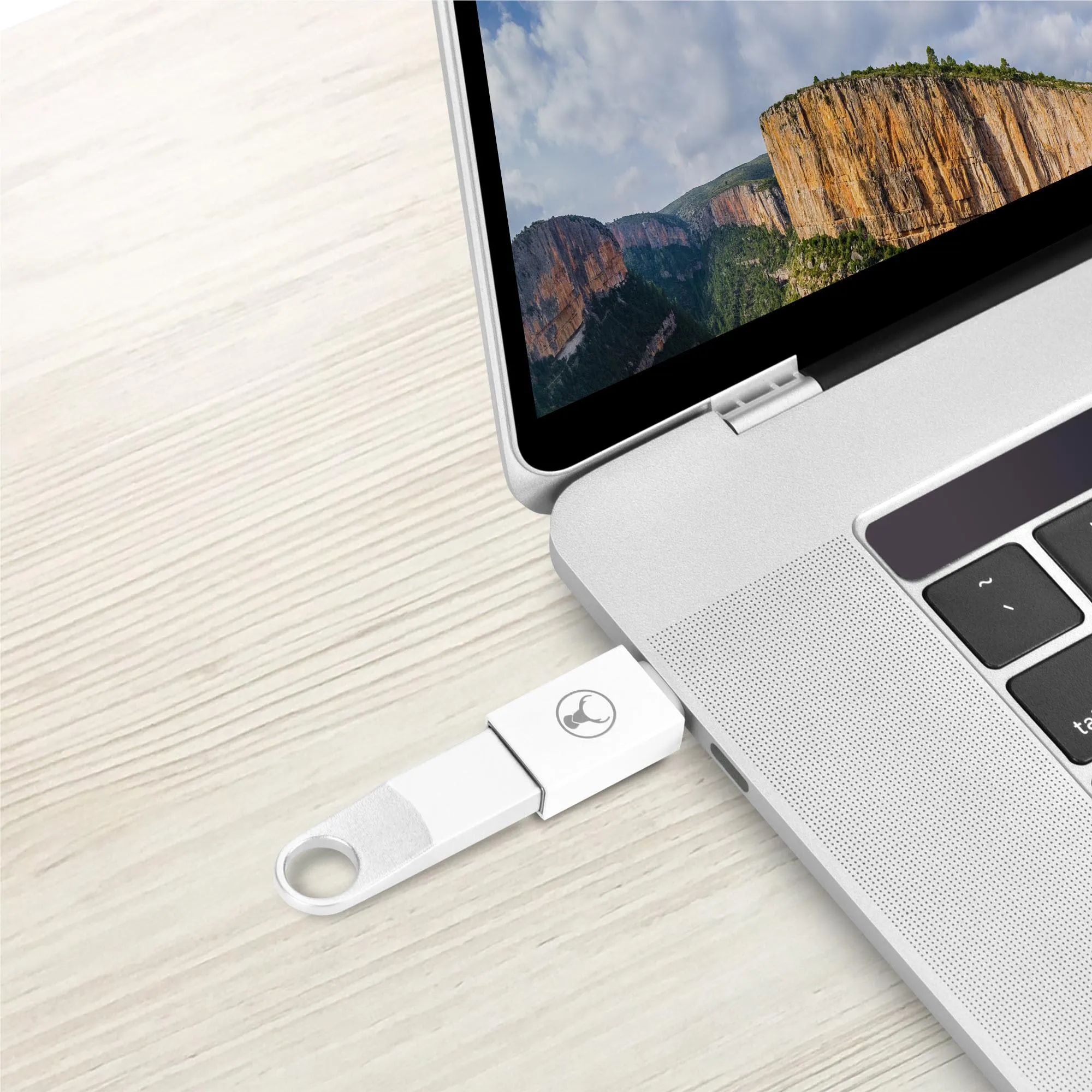 Bonelk USB-C TO USB-A 3.0 Adapter (White)