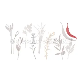 Bundle 'Kräutergarten'