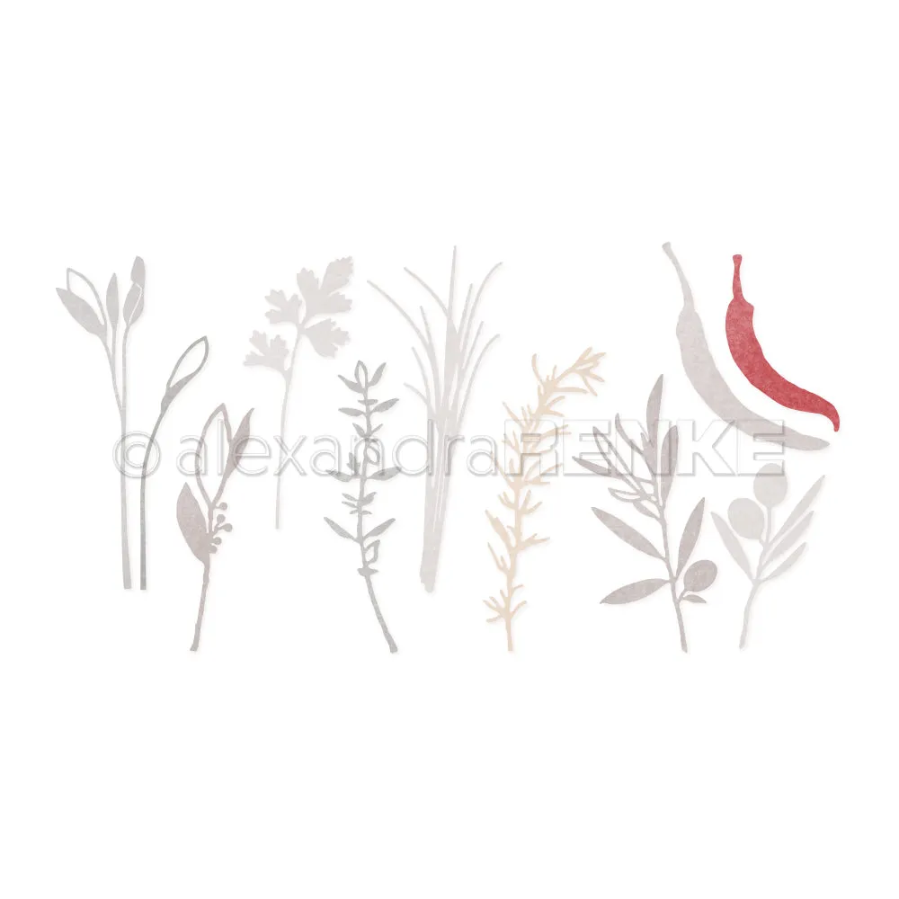Bundle 'Kräutergarten'