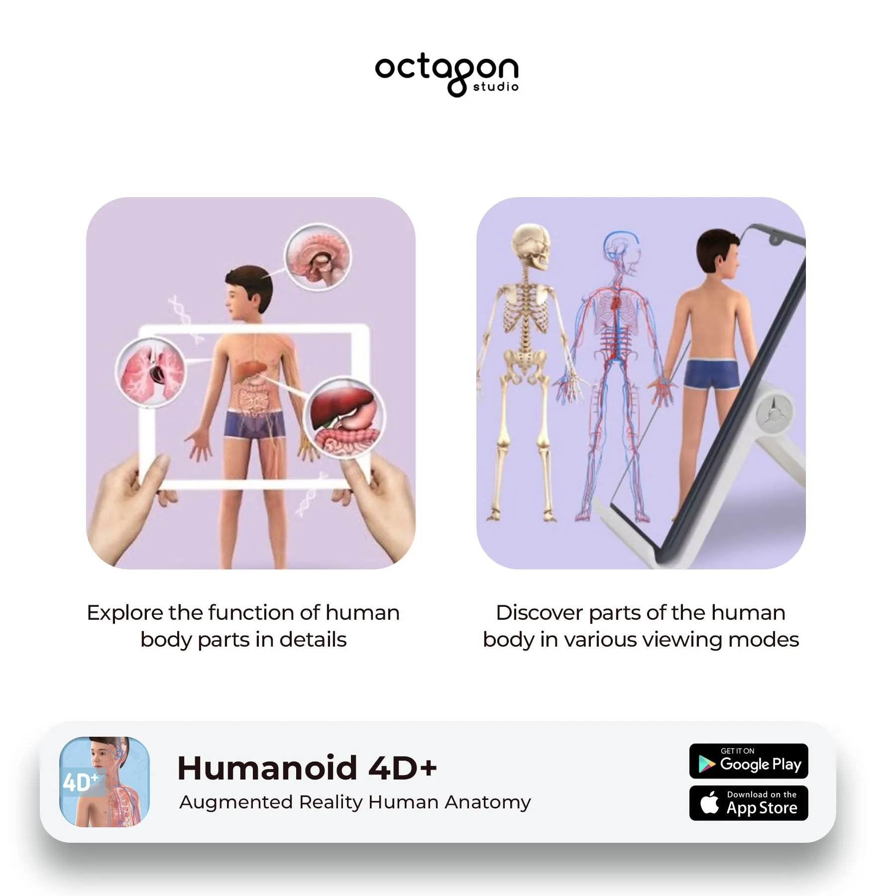 Octagon Studio Humanoid 4D  – Interactive AR Anatomy Learning for Kids