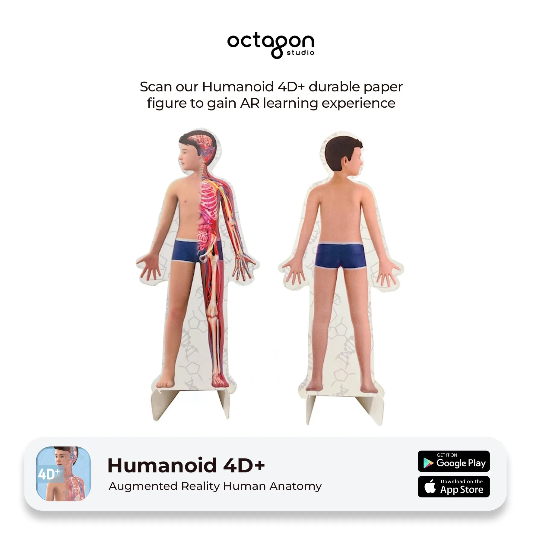 Octagon Studio Humanoid 4D  – Interactive AR Anatomy Learning for Kids