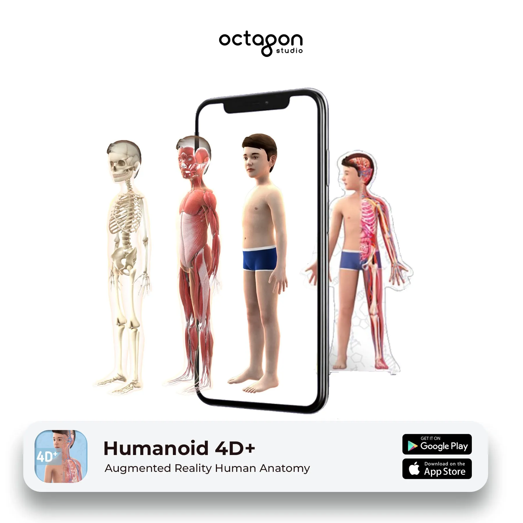 Octagon Studio Humanoid 4D  – Interactive AR Anatomy Learning for Kids